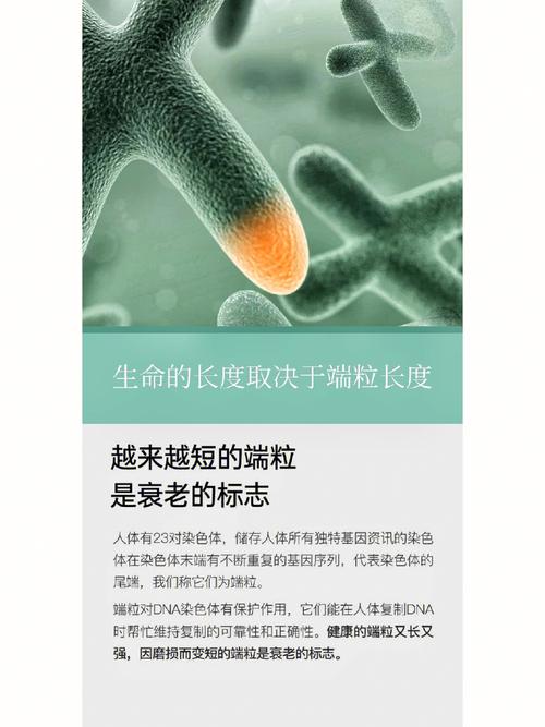 这样做于你衰老端粒(端粒情绪压力衰老这样做)