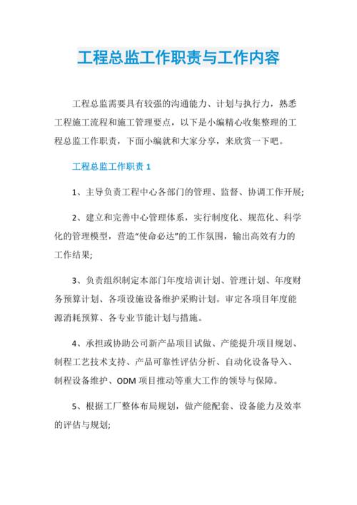 作为一个工作职责总监项目有哪些(项目总监组合组织职责)