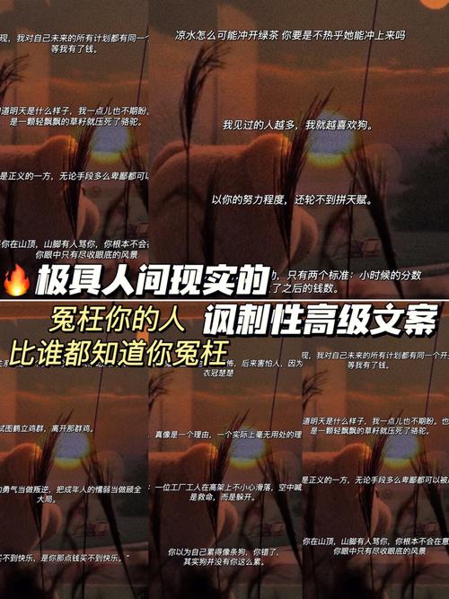 你知道(都是你知道效果产品数量)