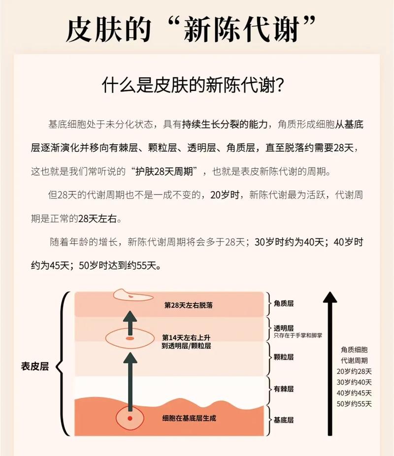 新陈代谢健康(皮肤新陈代谢细胞高压氧氧气)