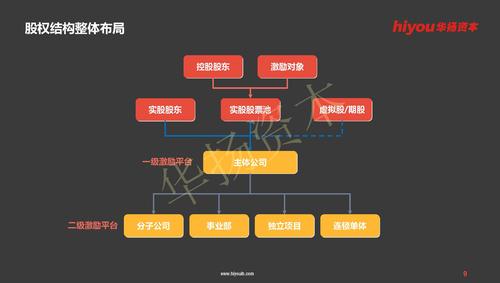 机构量身设计方案股权架构(机构股东公司股份美丽)