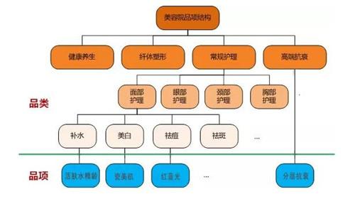 新产品项目(新产品项目美容院商业模式产品)