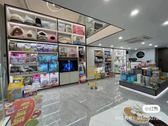万元稳妥一万多实体店哪些项目收入(万元一万多宠物实体店稳妥)