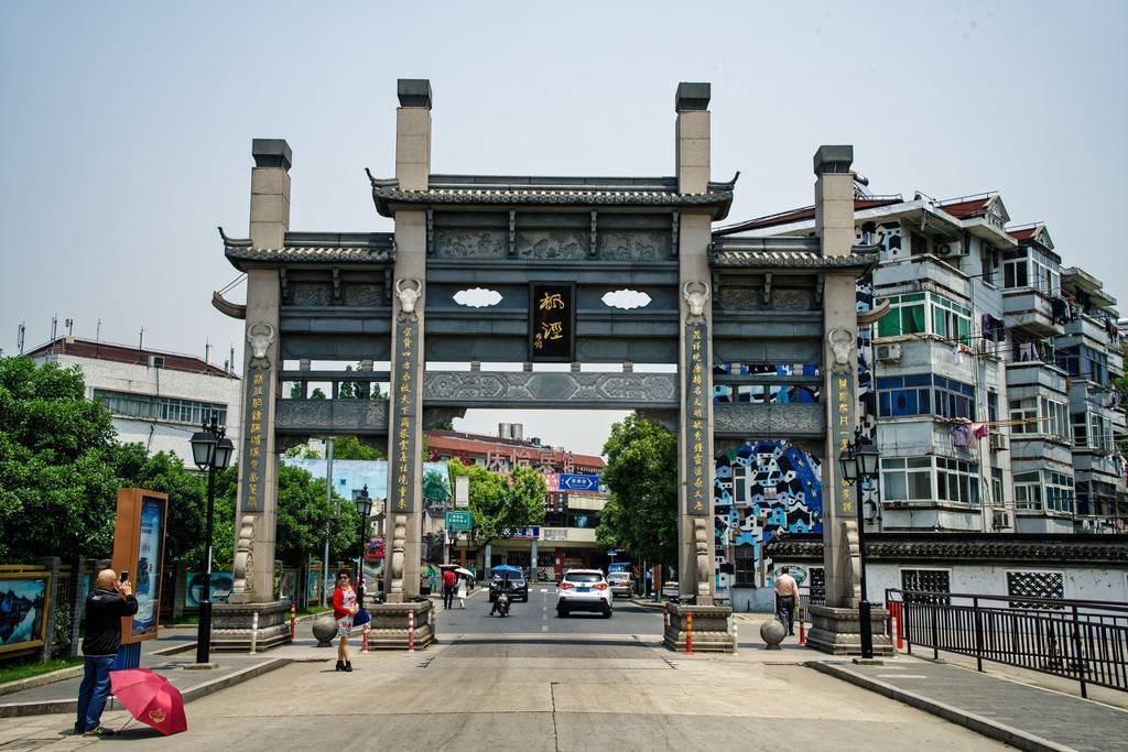 金山(行道树金山城建枫泾新闻)