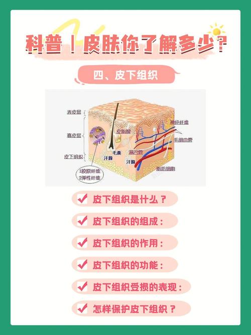 你有听过真如(皮肤皮下原理医生生理盐水)