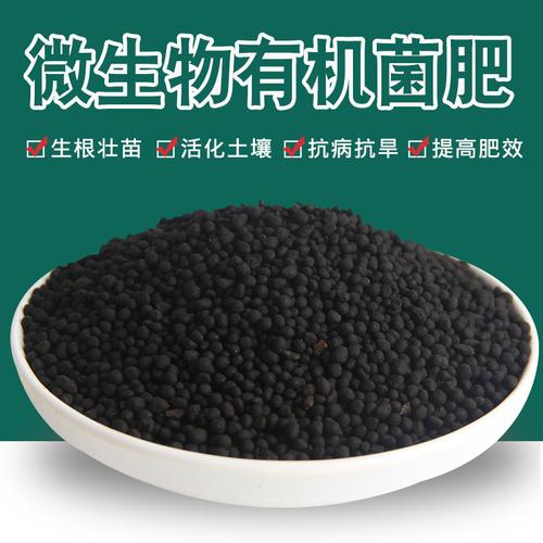 生物简单(生物菌肥菌种非常好简单)