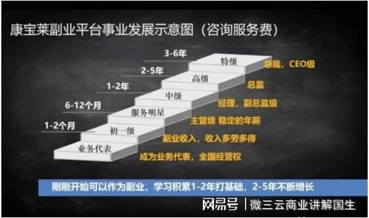 商业模式收益代理商仪器瘦腿软件(商业模式系统仪器收益代理商)