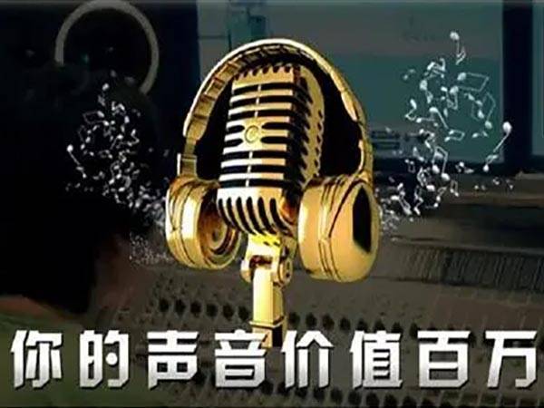 声音嗓音值得关注领域魅力(声音嗓音形象领域声乐)