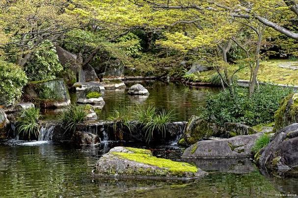 美容术花园让你邻里技巧焦点(花园邻里植物美容术让你)