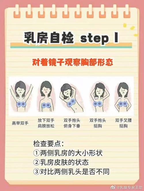 就能这份很重要丰胸提示指南(丰胸乳腺就能乳房妙手)