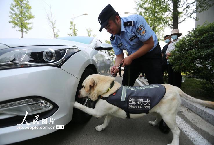 警犬身怀绝技看完神秘基地(警犬身怀绝技基地看完神秘)