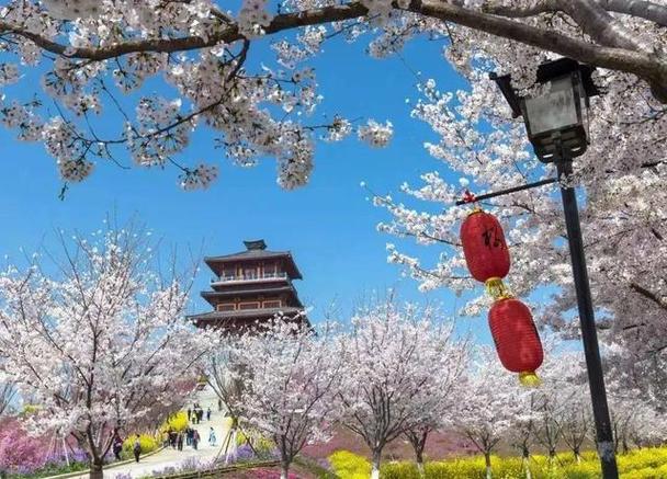 郑州与你共赏春天(郑州展区春天在这里博览会)