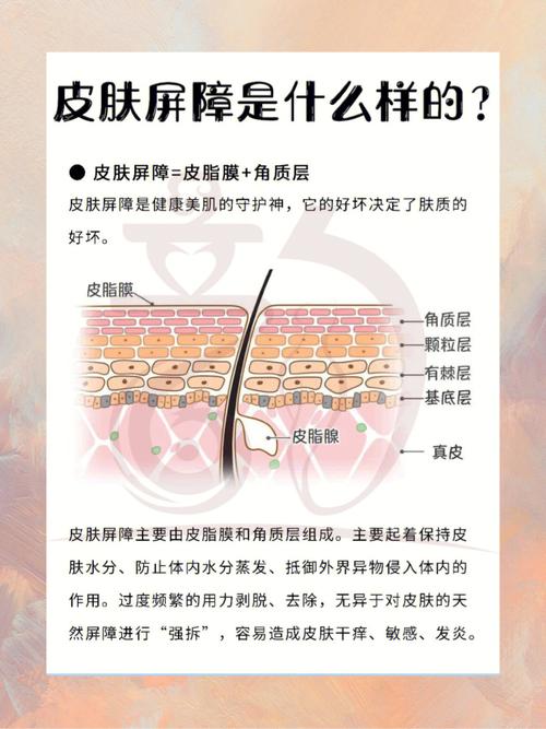 真的很修护两招皮肤关键(皮肤修护炎症安安建议)