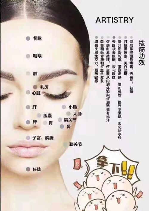 脸部经络轻松完美攻略(脸部经络轻松完美攻略)