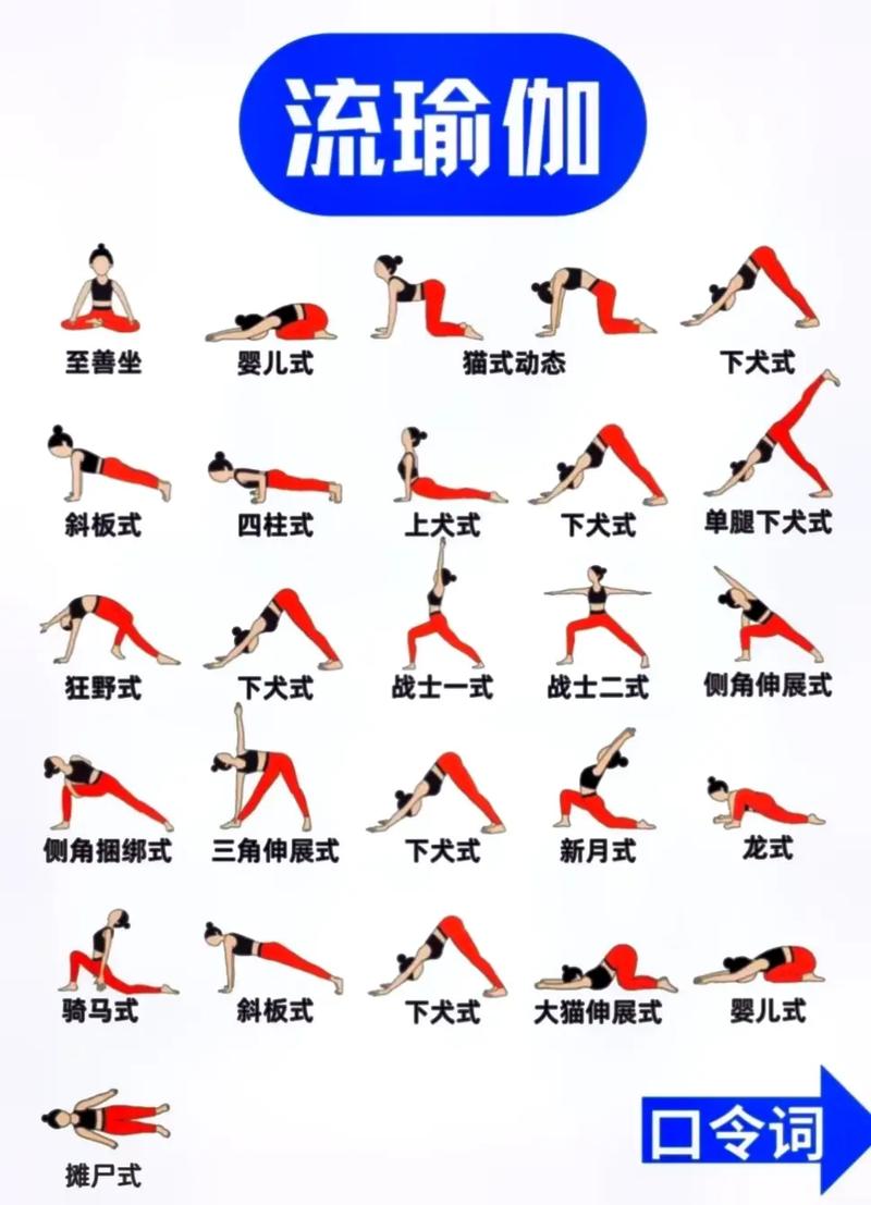 看完瑜伽排课全身完整塑形(低空瑜伽看完排课进阶)
