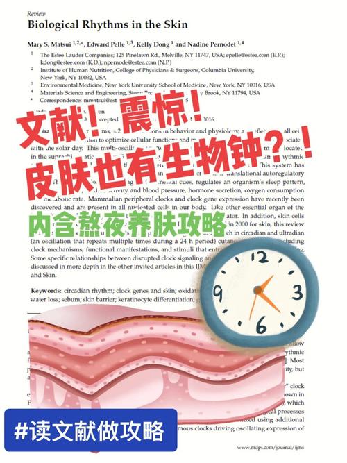 干细胞日本秘诀肌肤抗老化年轻(皮肤干细胞疾病生物钟生活习惯)