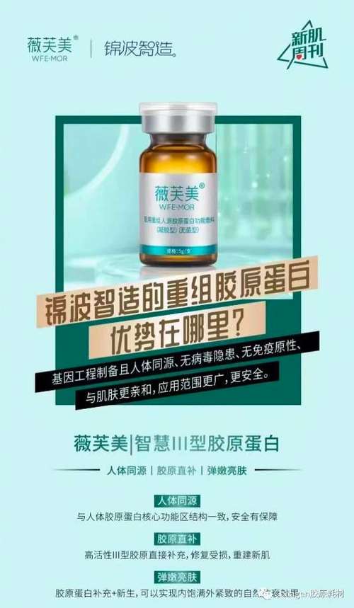 脸里是(脂肪胶原凝胶细胞人体)