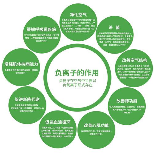 适用于负离子美容院生态美丽健康(负离子生态美容院离子适用于)