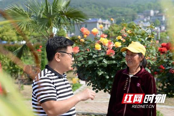 乡村泸溪县奋斗者助力领头人旅游(泸溪县陈寿乡村湘西旅游)