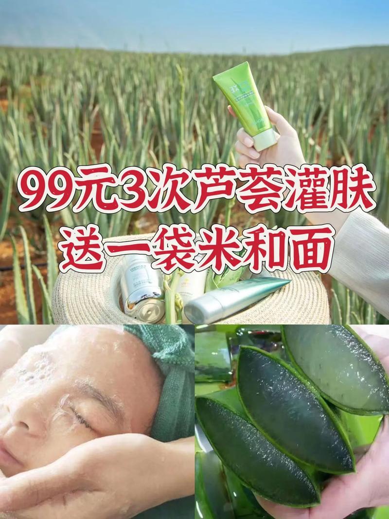 芦荟我家指南荟宝(芦荟我家指南大姑大姨)
