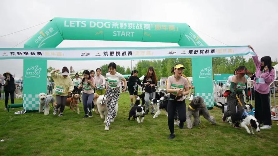 躺在还可园区隧道惬意浦锦(宠物躺在园区还可隧道)