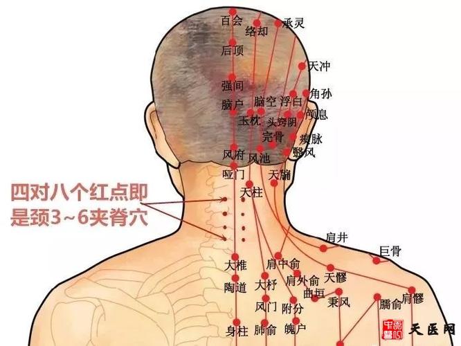 医保部位项目(部位颈部医保躯干下肢)
