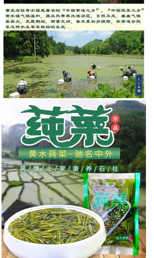 亿元产值产业(莼菜黄连亿元辣椒产业)