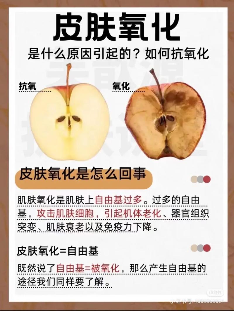 教你一招抗氧化自由基日常(自由基皮肤抗氧化水疗美白)