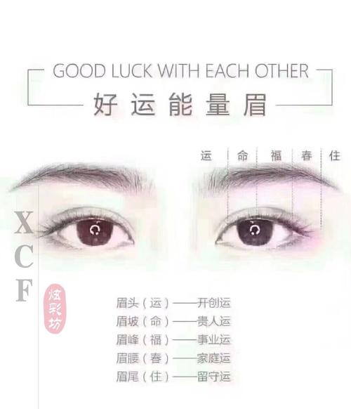 量身面部比例方案眉形纹眉(纹眉面部自然量身节省)