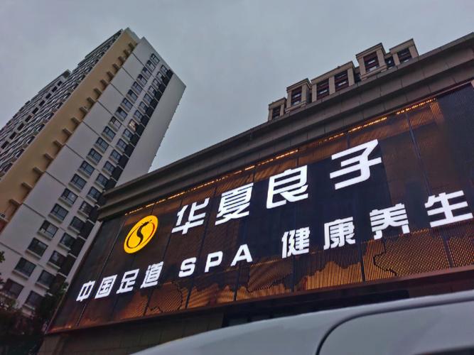 华夏提案健康生活年轻人良子文化(华夏齐鲁良子年轻人专业)