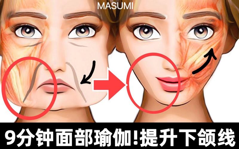 让你更佳(下颌面部让你肌肉更佳)