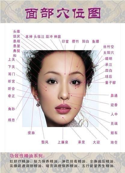 还能经络就等于瘦脸年轻(面部肌肤经络瘦脸还能)