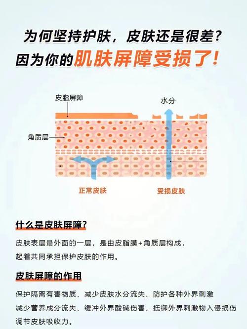 屏障必不可少这三肌肤(屏障皮肤肌肤必不可少功能)