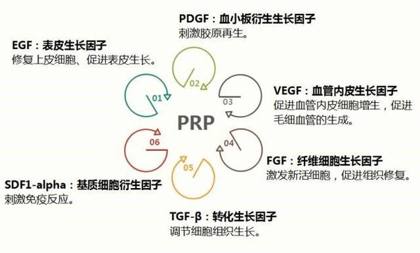 血浆血小板述评专栏全文美容外科(血小板皮肤瘢痕屏障血浆)