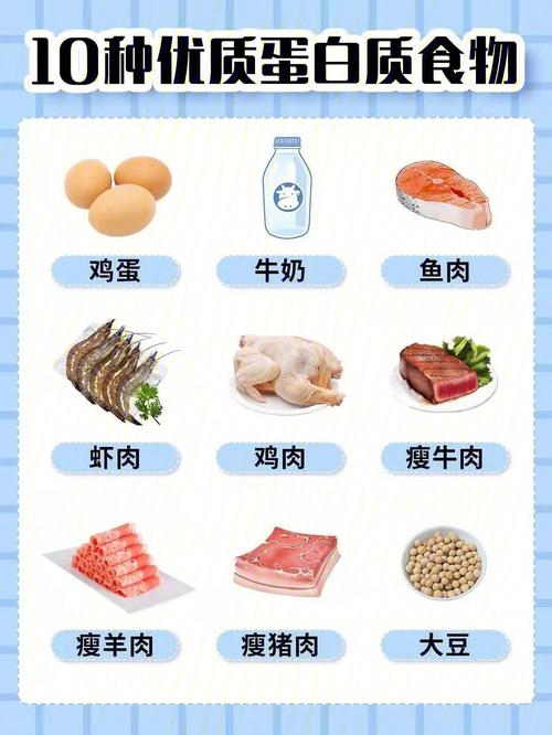 带你直击蛋白食物快速(带你蛋白食物快速直击)