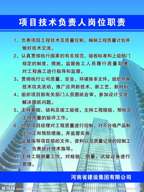 主要职责项目负责人能力(项目负责人项目能力主要职责项目管理)