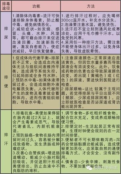脂肪一文读懂汗水消耗全身(脂肪消耗汗水一文读懂)