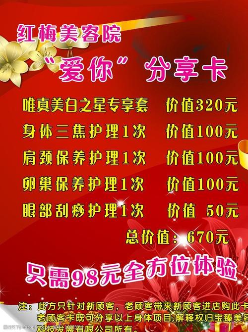 美容院方案金九银十(美容院顾客项目产品促销活动)