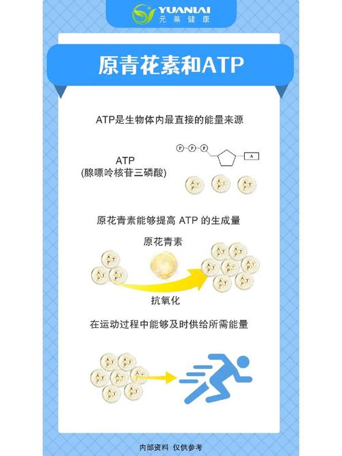 花青素之最抗氧化自由基OPC(花青素自由基抗氧化之最发现)