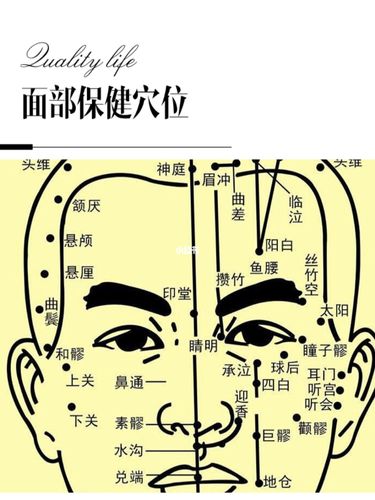 经络面部身心(面部唾液经络身心关节)