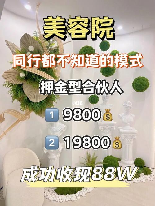 美容院翻倍合伙人唯美收入VIP(美容院唯美流量合伙人自己的)