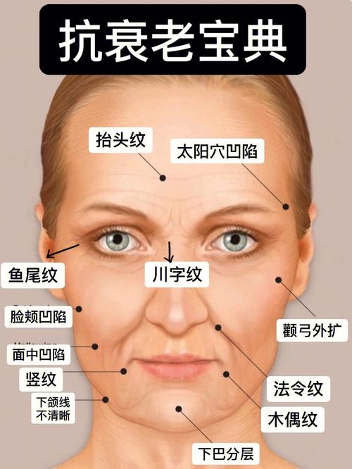 西元三大肤质模式(西元模式三大肤质皮肤)