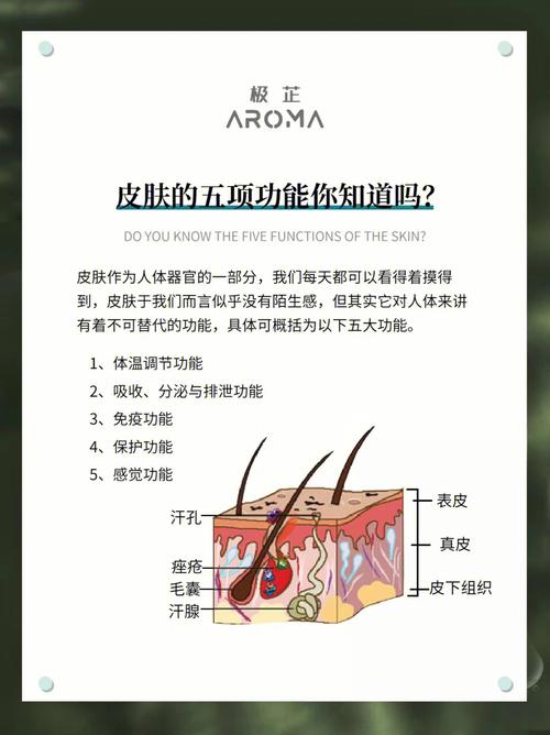 项目功效大揭秘适用人群(项目适用于面部功效皮肤)