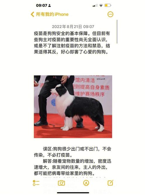新人星期医院方法(疫苗杭州恩恩小狗家长)