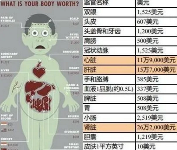 换个器官用人零件身体知料(器官生物干细胞美国技术)