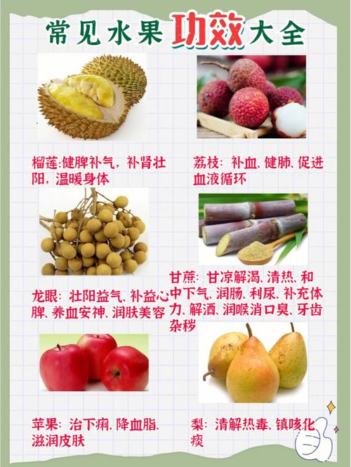水果易学常见简单(水果易学功效常见简单)