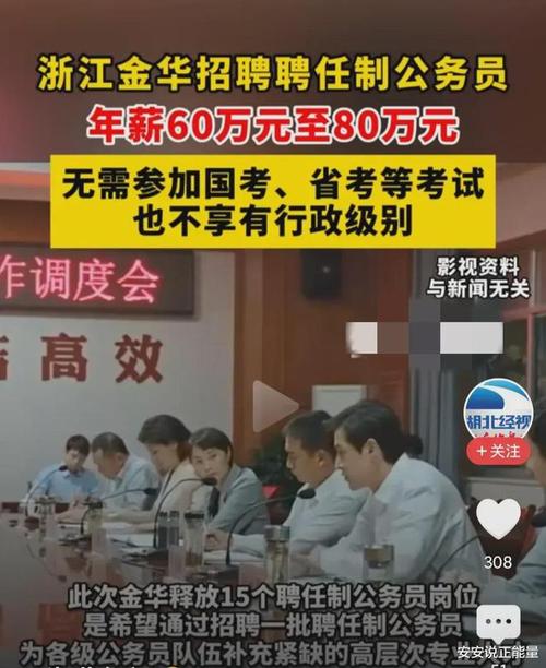 聘任制年薪高薪公务员(聘任制公务员政府部门工作专业人才)