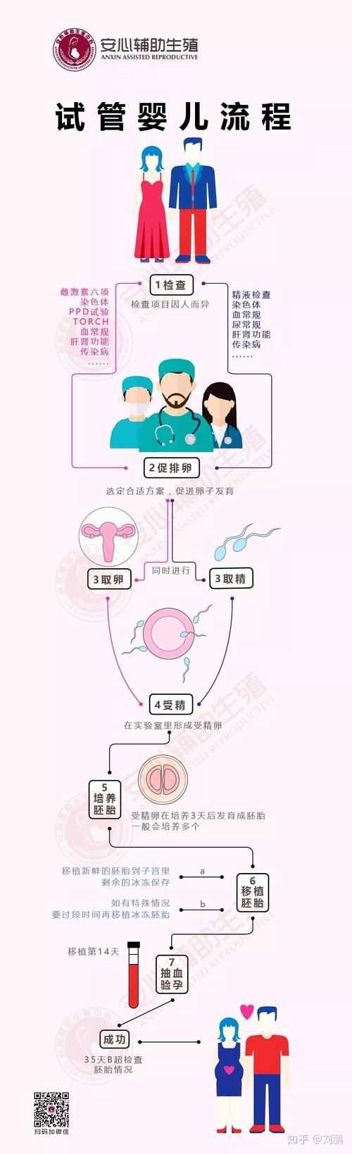 试管婴儿(试管婴儿胚胎染色体基因技术)
