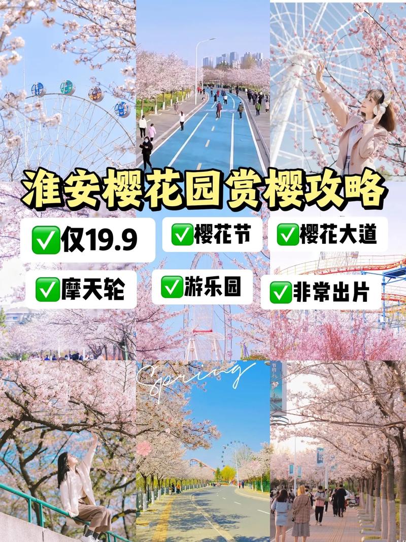优惠政策门票价格攻略樱花园常宁(樱花园樱花带着优惠政策门票价格)