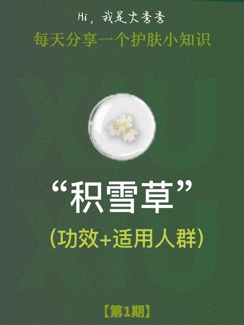 积雪草都能痤疮粉刺对了缠腰火丹(积雪草痤疮粉刺都能凉茶)